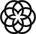 Salsify